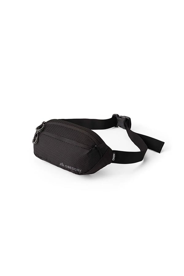 GREGORY Saszetka Nano Waistpack - 1