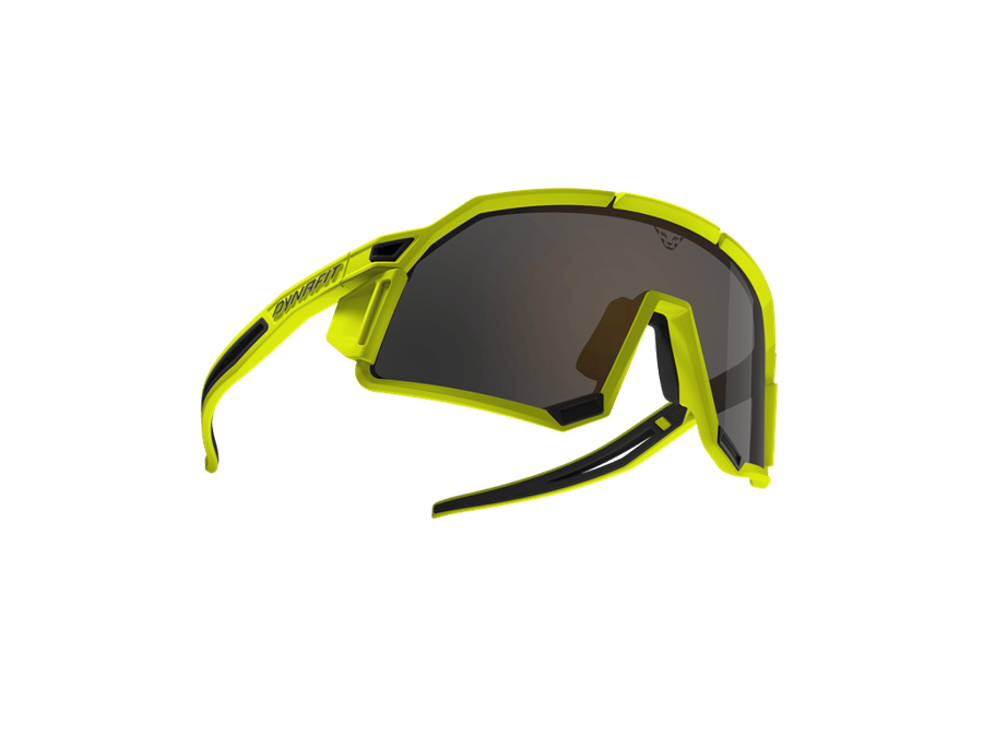 DYNAFIT Okulary Sky Sunglasses - 1