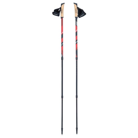 VIKING Kije nordic walking KUBE - 1