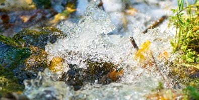 Podstawy survivalu – jak znaleźć wodę w przyrodzie?