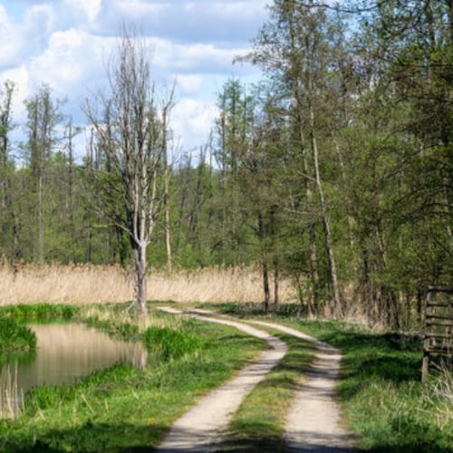 dolina baryczy