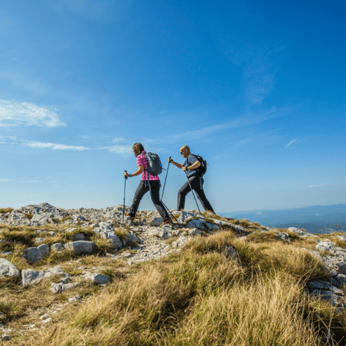 kije trekkingowe