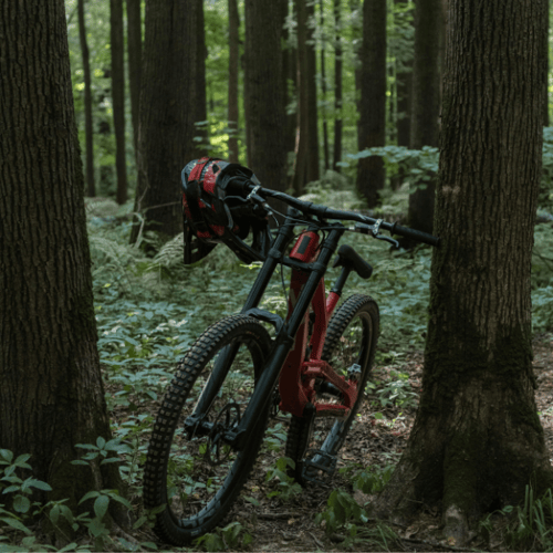 singletrack rower