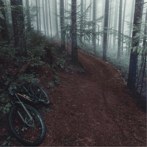 singletrack rower