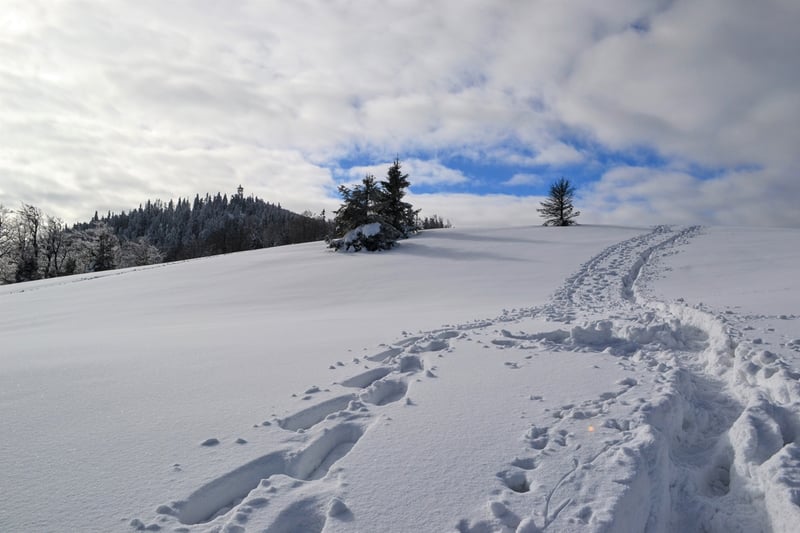 Beskidzka Narnia - Mogielica