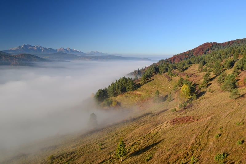 Gdzie w Małe Pieniny? Lesnické Sedlo, Wysoki Wierch i Wysoka