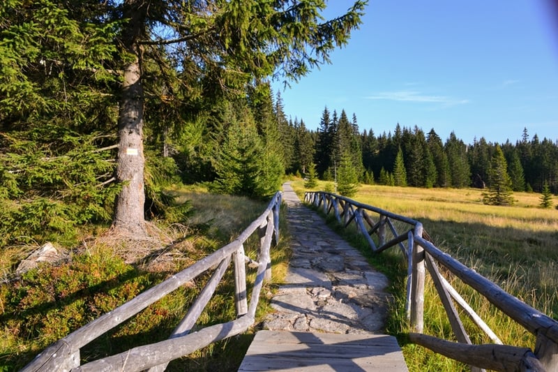 Złote Karkonosze - Śnieżka w roli głównej