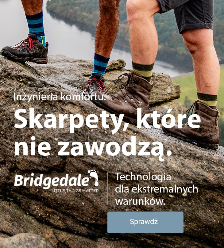 bridgedale